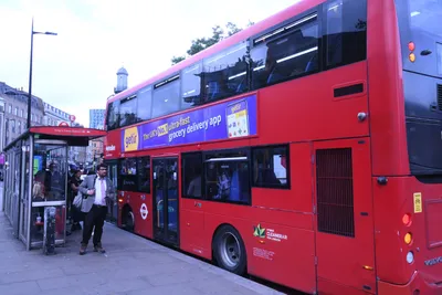 DSC_1588 (Large).JPG